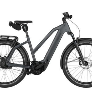 RIESE UND MÜLLER Charger5 Mixte vario maat 49cm ch5 mix kleur Slate Grey (2026)
